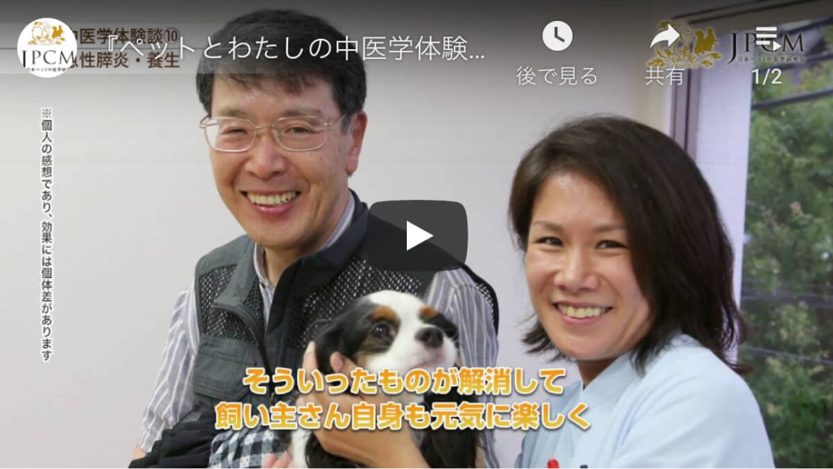 『ペットとわたしの中医学体験談⑩』 JPCM「日本ペット中医学研究会」