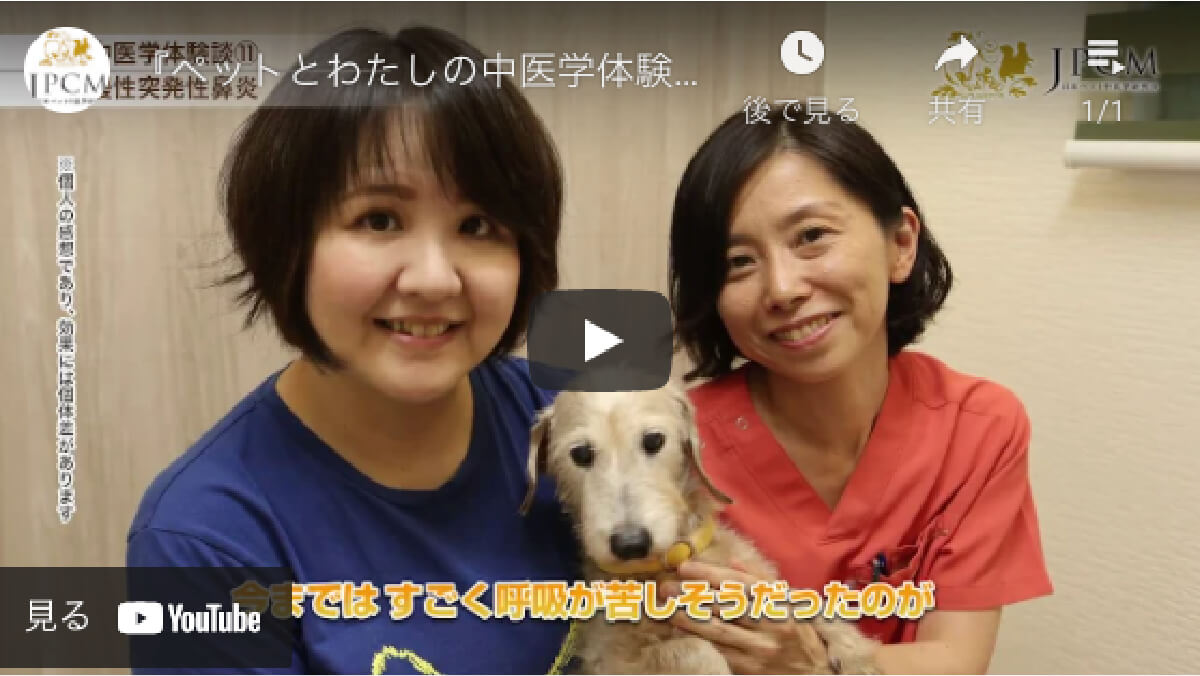 『ペットとわたしの中医学体験談11』 JPCM「日本ペット中医学研究会」