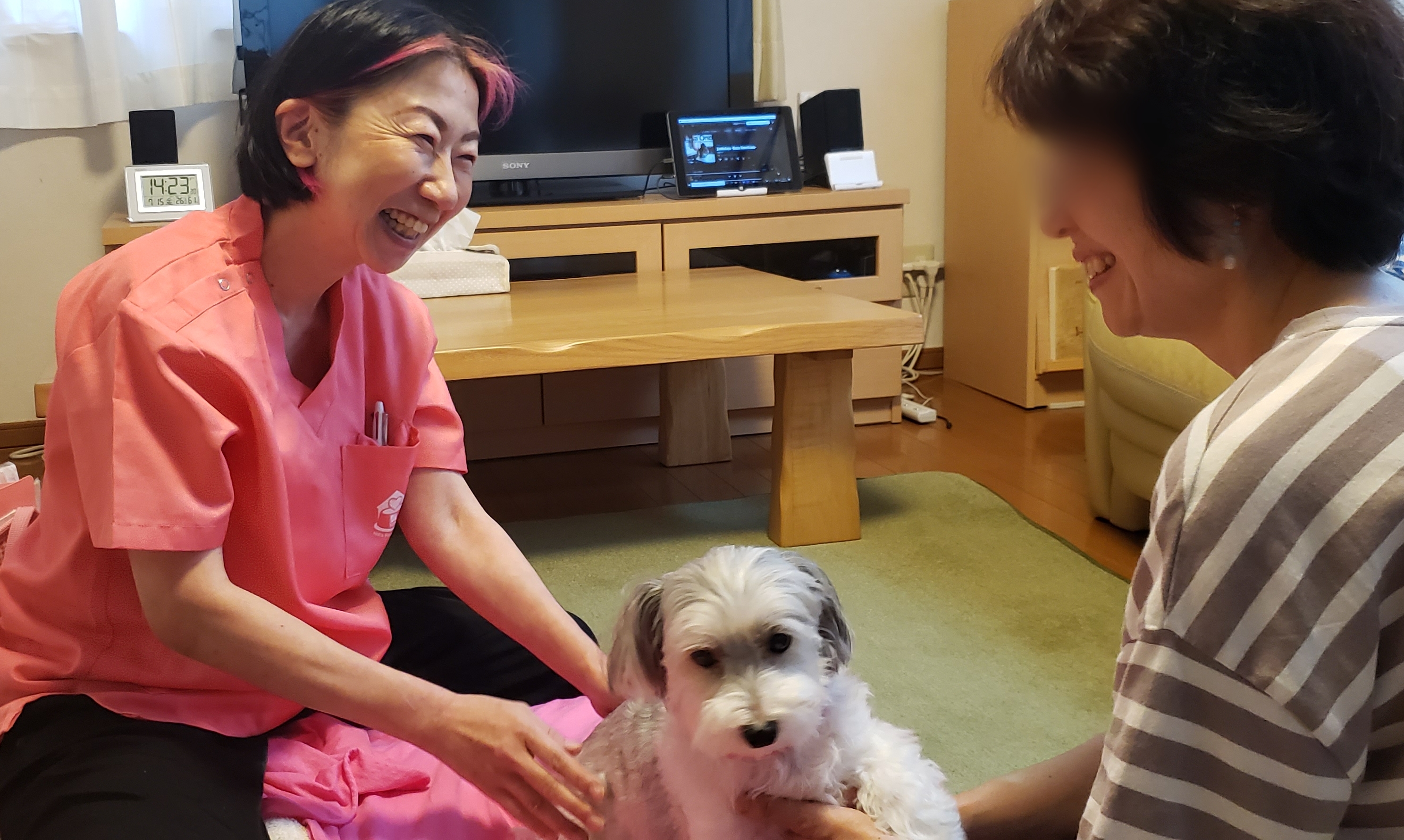 犬猫自然療法動物病院