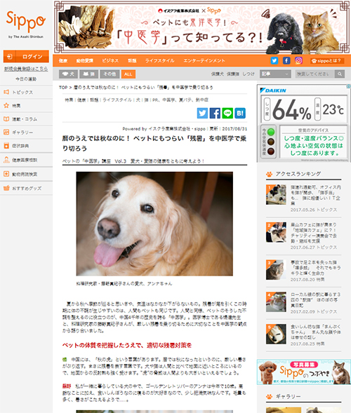 朝日新聞web「SIPPO」に記事掲載されました