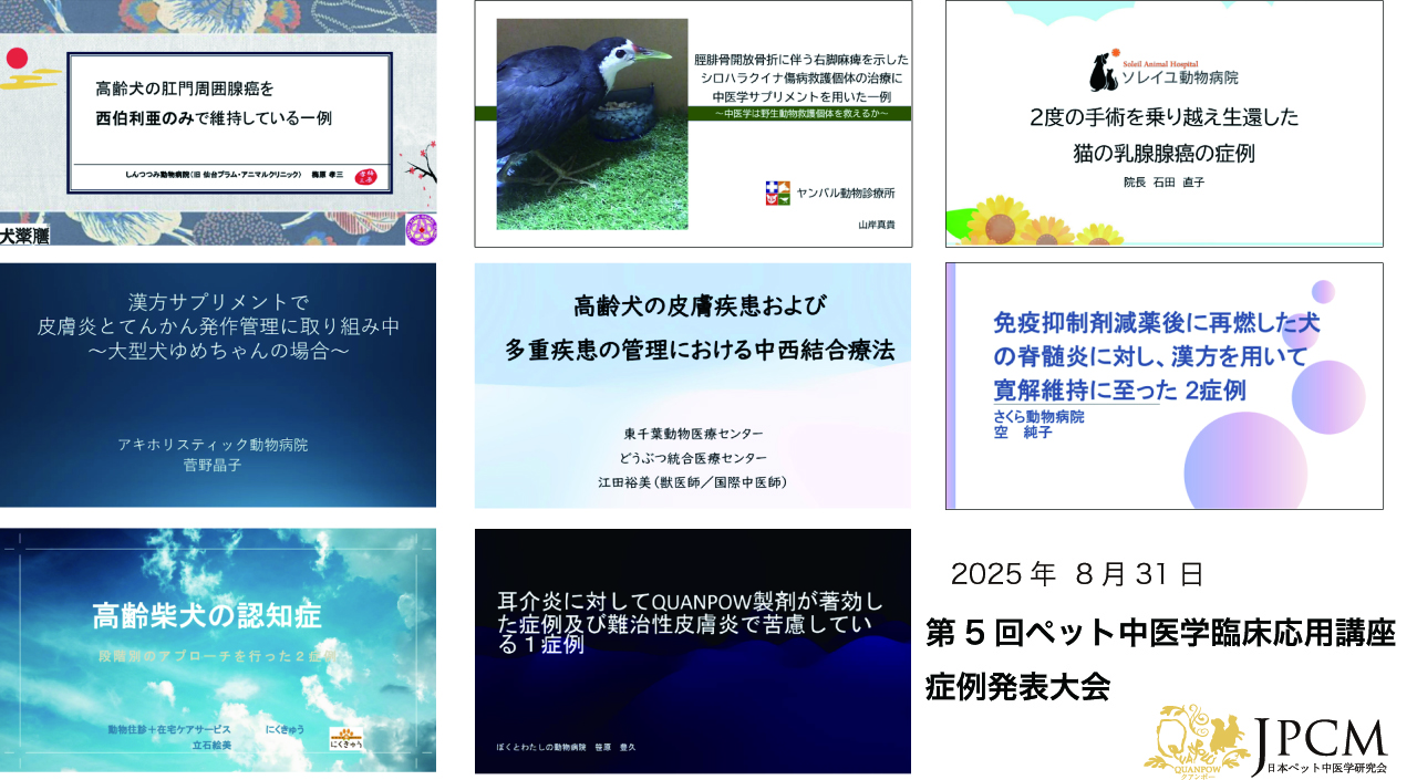 2025年度 第4回ペット中医学臨床応用講座を開催しました