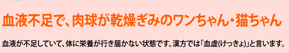 チェック結果 中医学的肉球チェック Jpcm