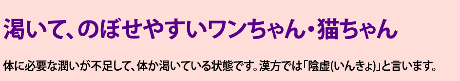 渇いて、のぼせやすいワンちゃん・猫ちゃん 体に必要な潤いが不足して、体か渇いている状態です。漢方では「陰虚(いんきょ)」と言います。
