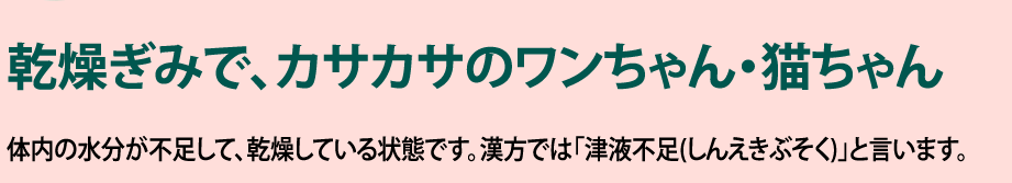 乾燥ぎみで、カサカサのワンちゃん・猫ちゃん 体内の水分が不足して、乾燥している状態です。漢方では「津液不足(しんえきぶそく)」と言います。